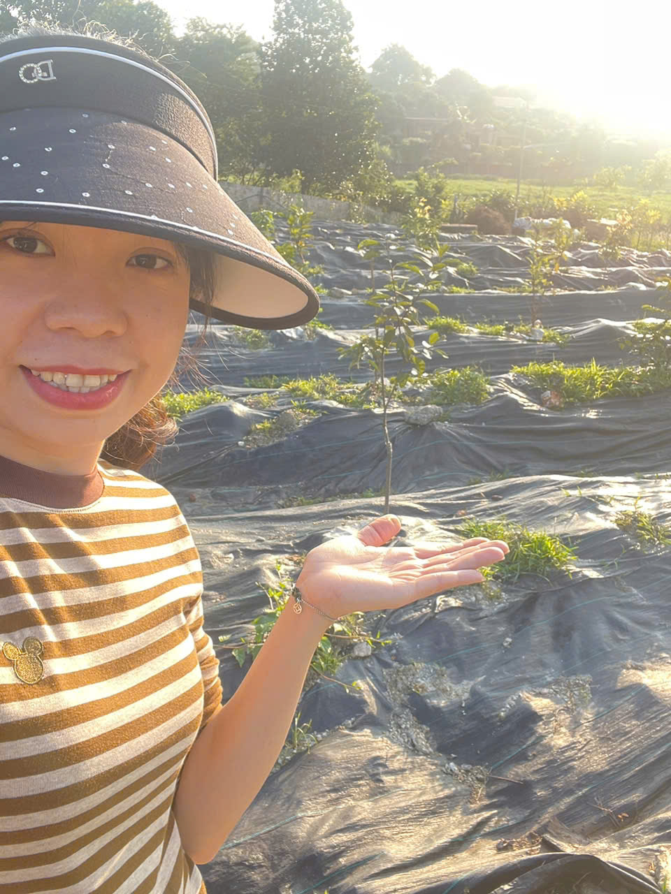 z7352388016107 47e7044830425c5acfdc562a7a565b10