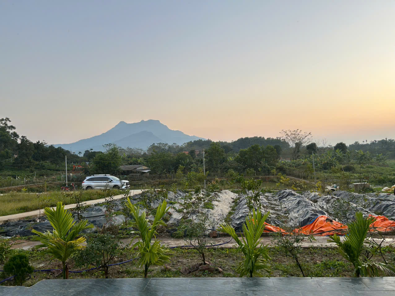 z7353806259532 186457c809bada6df85fa4cdad2dac3a