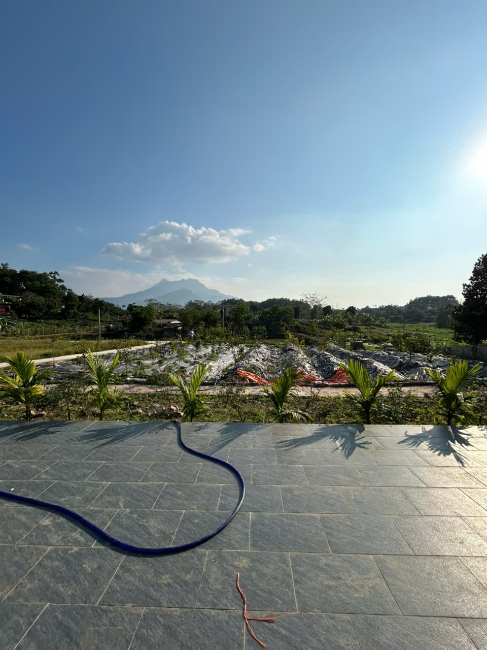 z7353806300863 1e70ebca8e90e7c579593eb65410c95f