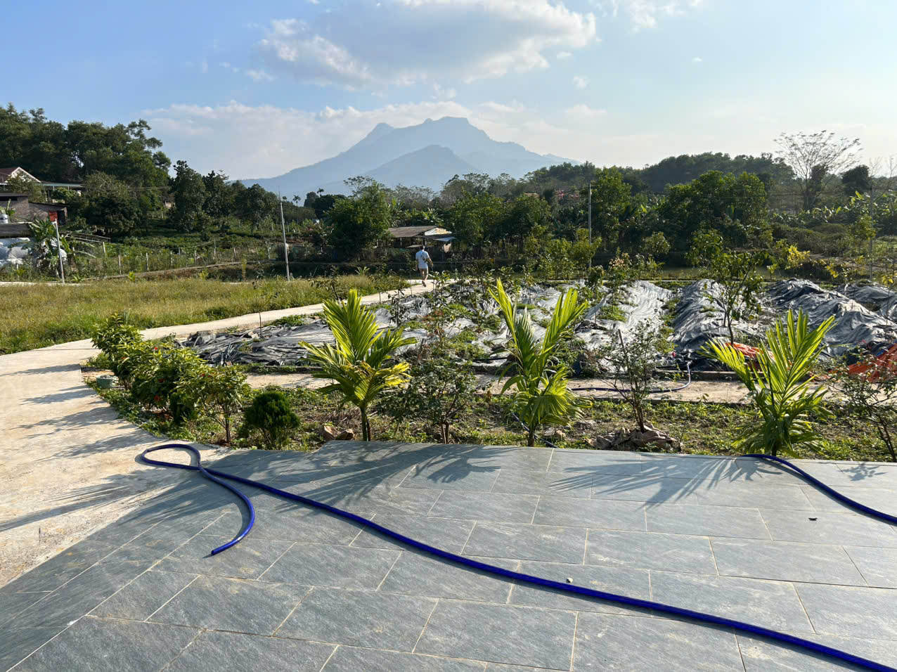 z7353806309756 80d9c094fac7ae4c884e563efe07c868