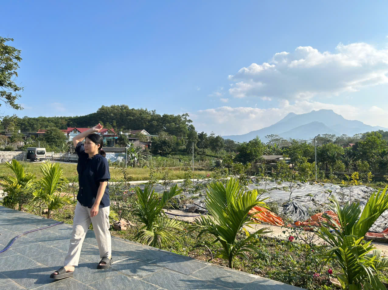 z7353806312118 109230b343e253908f1e2822f6ce1301